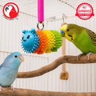 3431 Bonka Bug - Bonka Bird Toys