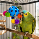 2304 Spikey Rainbow Pull - Bonka Bird Toys
