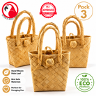 3298 Pk3 Palm Leaf Bag - Bonka Bird Toys