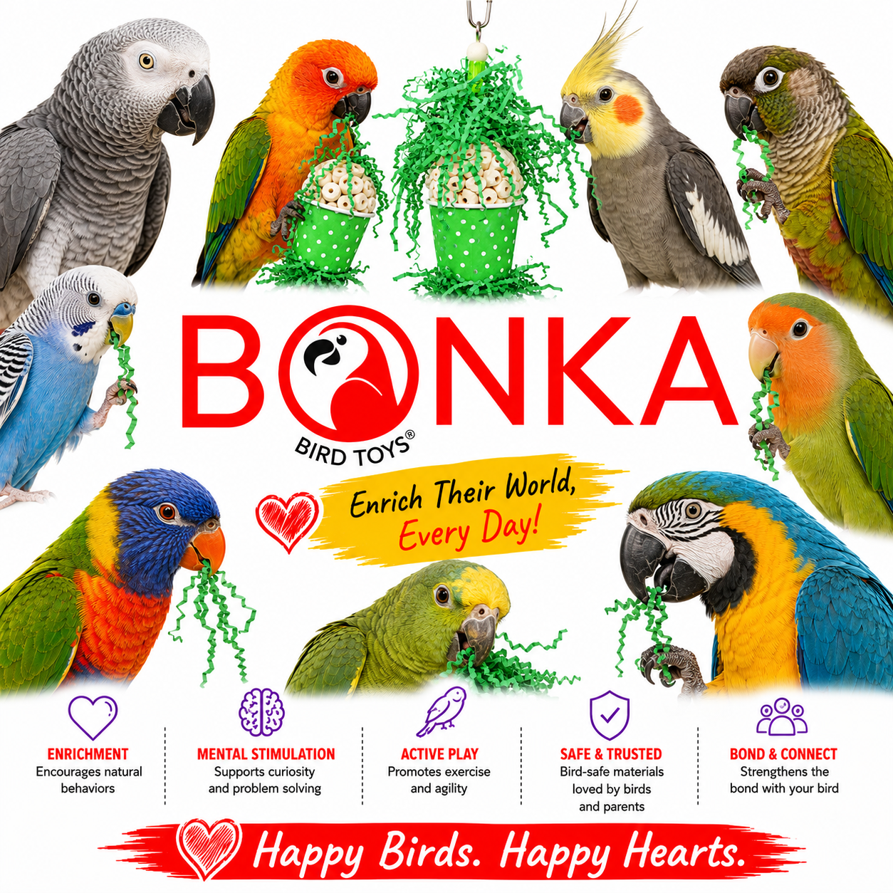 Spotty Sola Foraging Bird Toy - Bonka Bird Toys