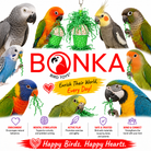 Spotty Sola Foraging Bird Toy - Bonka Bird Toys