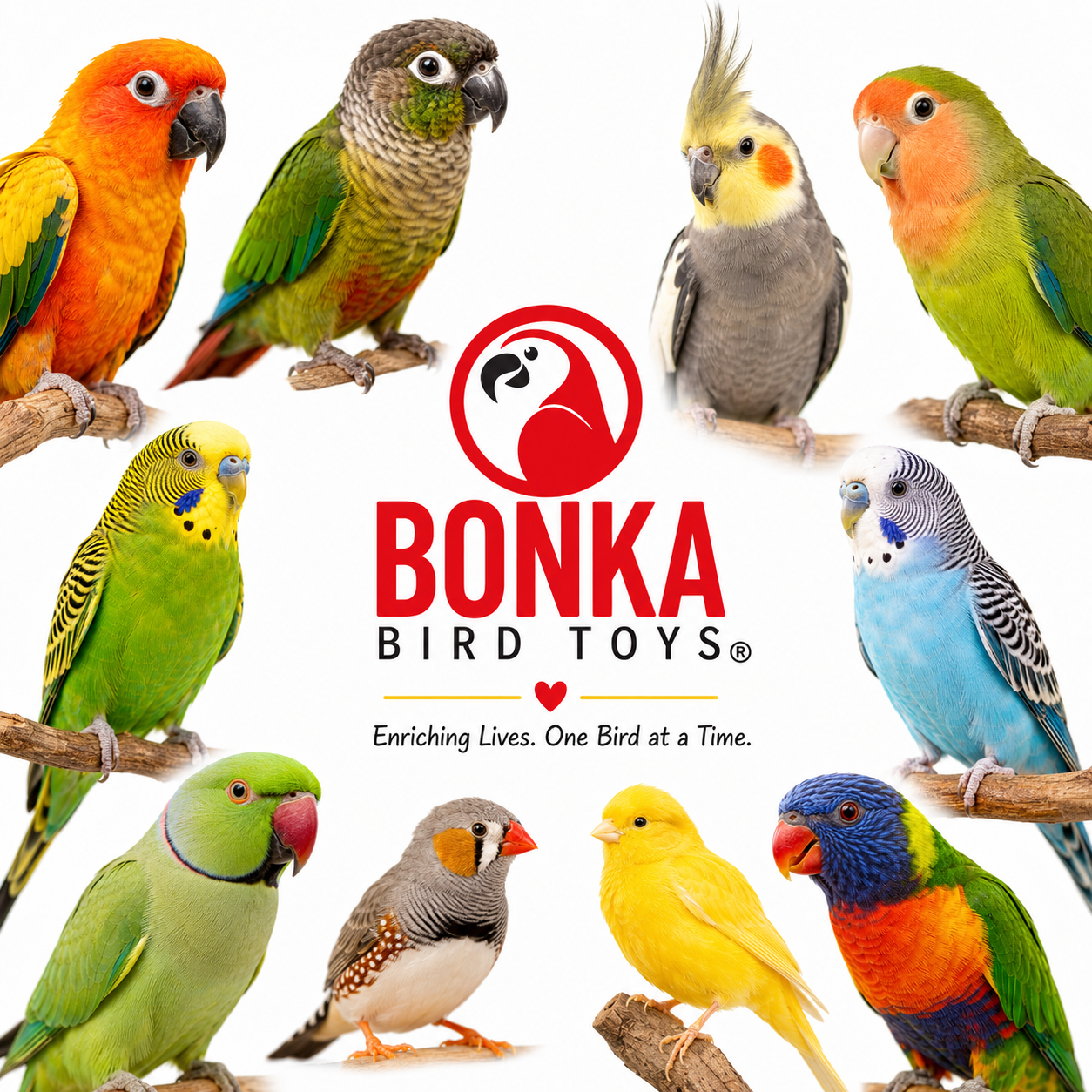 36459 Olympic Rings - Bonka Bird Toys
