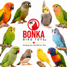36459 Olympic Rings - Bonka Bird Toys