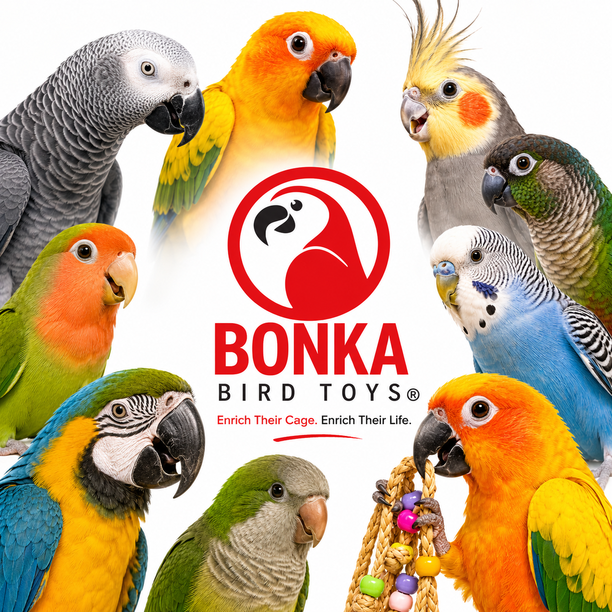 2214 Coco Rasta - Bonka Bird Toys