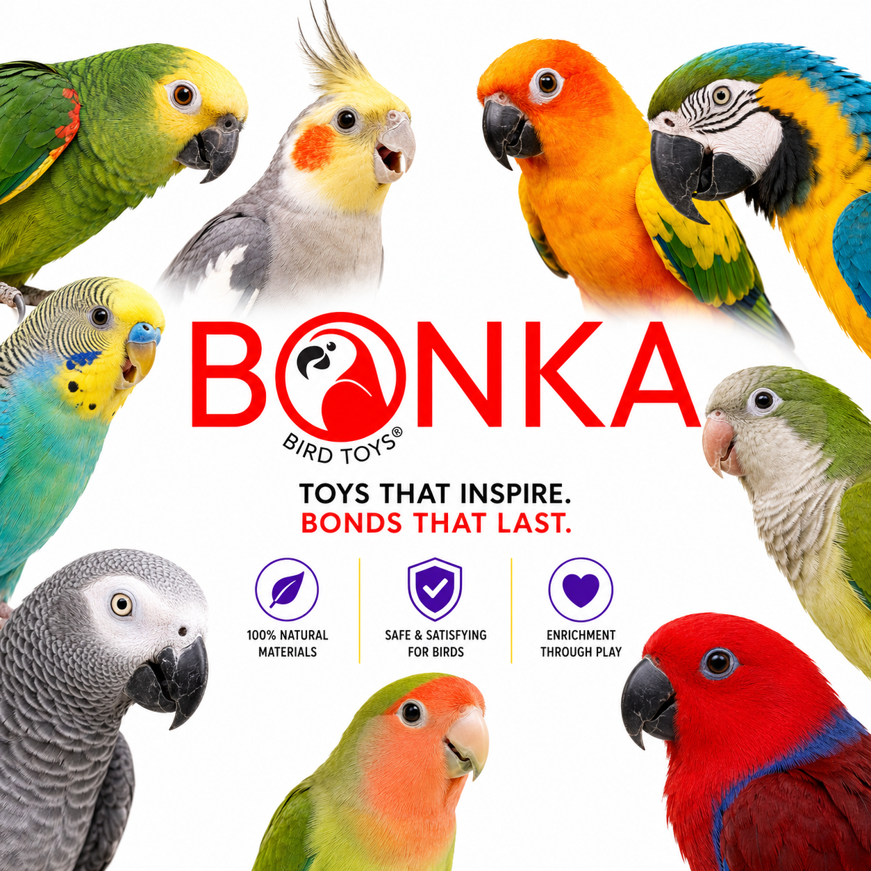 1925 Cake - Bonka Bird Toys