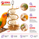 2552 Sola Chewballicious - Bonka Bird Toys