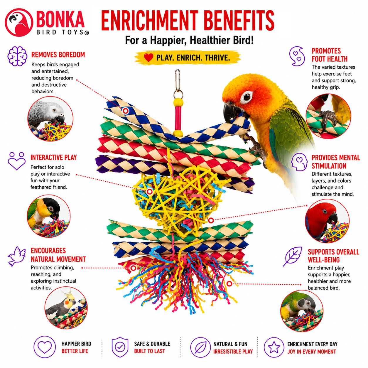 1730 Foraging Heart - Bonka Bird Toys