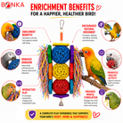 1854 Tri Foraging Star - Bonka Bird Toys