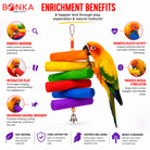 2036 Rainbow Sola - Bonka Bird Toys