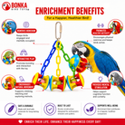 1161 Carnival Clacker - Bonka Bird Toys