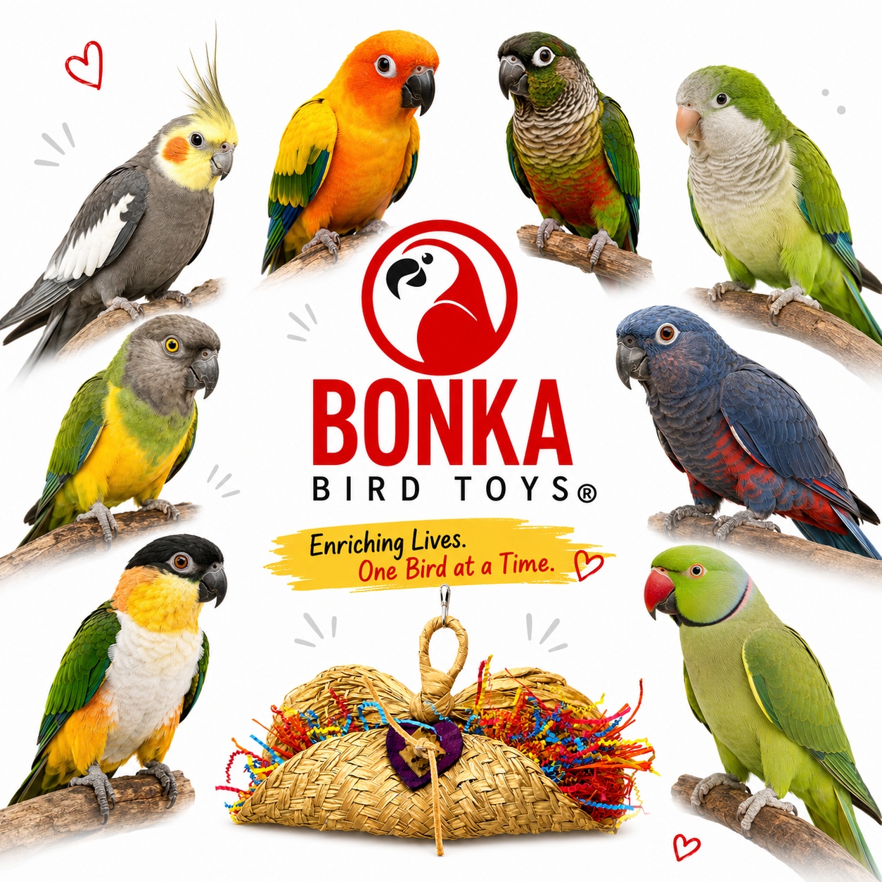 950 Taco Bird Toy - Bonka Bird Toys