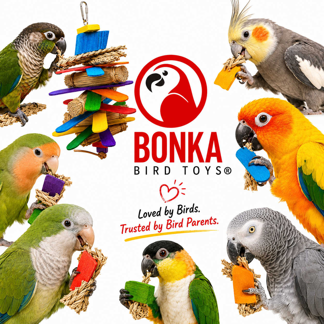 1921 Husky Fan - Bonka Bird Toys