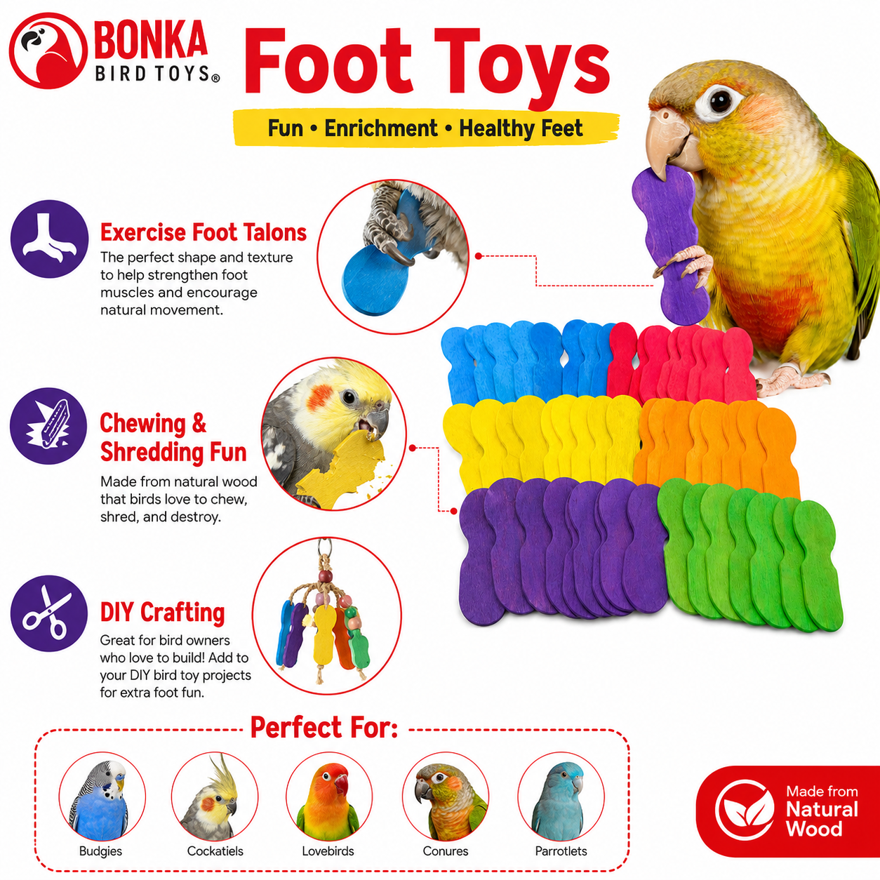 2665 PK50 Mini Scoop Spoons - Bonka Bird Toys