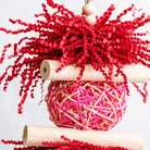 3885 Sola Heart Log - Bonka Bird Toys