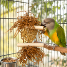 3885 Sola Heart Log - Bonka Bird Toys