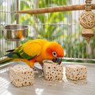 Small Sola Cubes - Bonka Bird Toys