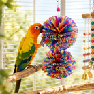 3291 Large Duo Paper Puff - Bonka Bird Toys