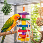 1510 Colored Colored Chunky Star - Bonka Bird Toys