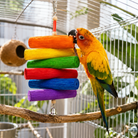 2036 Rainbow Sola - Bonka Bird Toys
