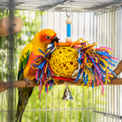 1839 Foraging Star - Bonka Bird Toys