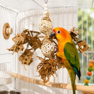 2557 Sola Spider - Bonka Bird Toys