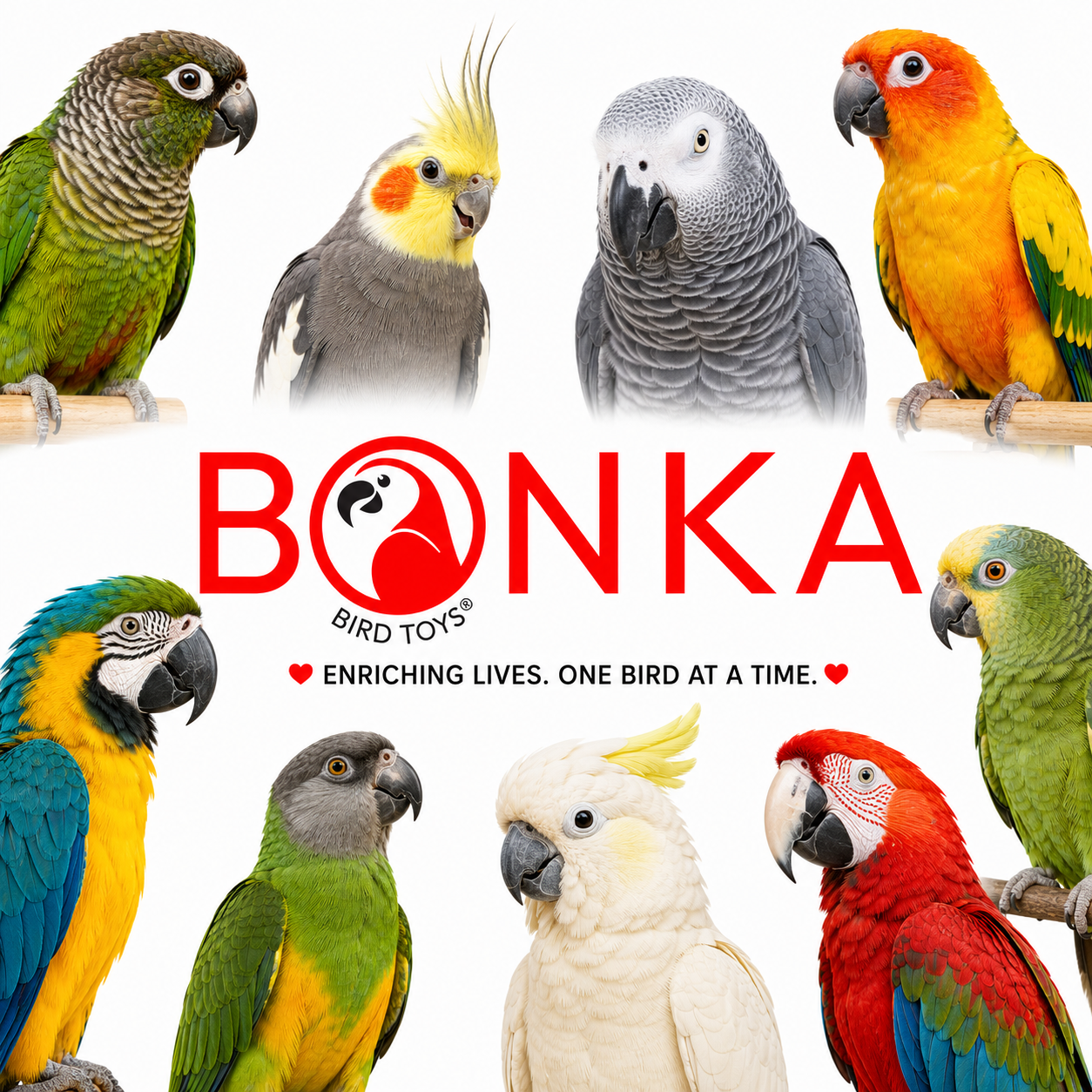 3885 Sola Heart Log - Bonka Bird Toys