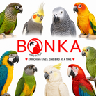 3885 Sola Heart Log - Bonka Bird Toys