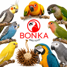 3866 Natural Foraging Star - Bonka Bird Toys