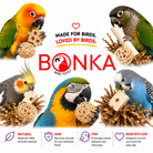 2028 Natural Foraging Bonka Box - Bonka Bird Toys