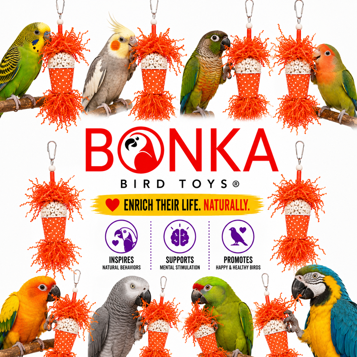 Spotty Sola Foraging Bird Toy - Bonka Bird Toys