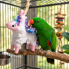 2622 Foraging Unicorn Donkey Pinata - Bonka Bird Toys