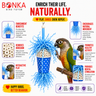Spotty Sola Foraging Bird Toy - Bonka Bird Toys