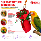 2760 Red Crinkle Gift Box - Bonka Bird Toys