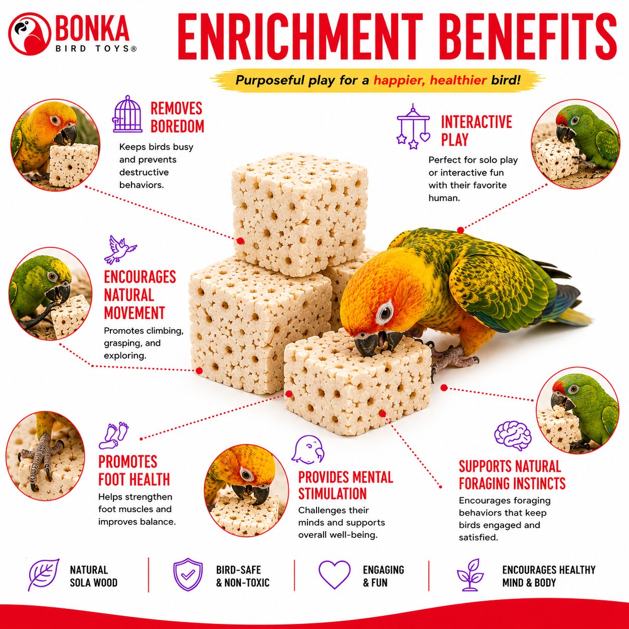 Small Sola Cubes - Bonka Bird Toys