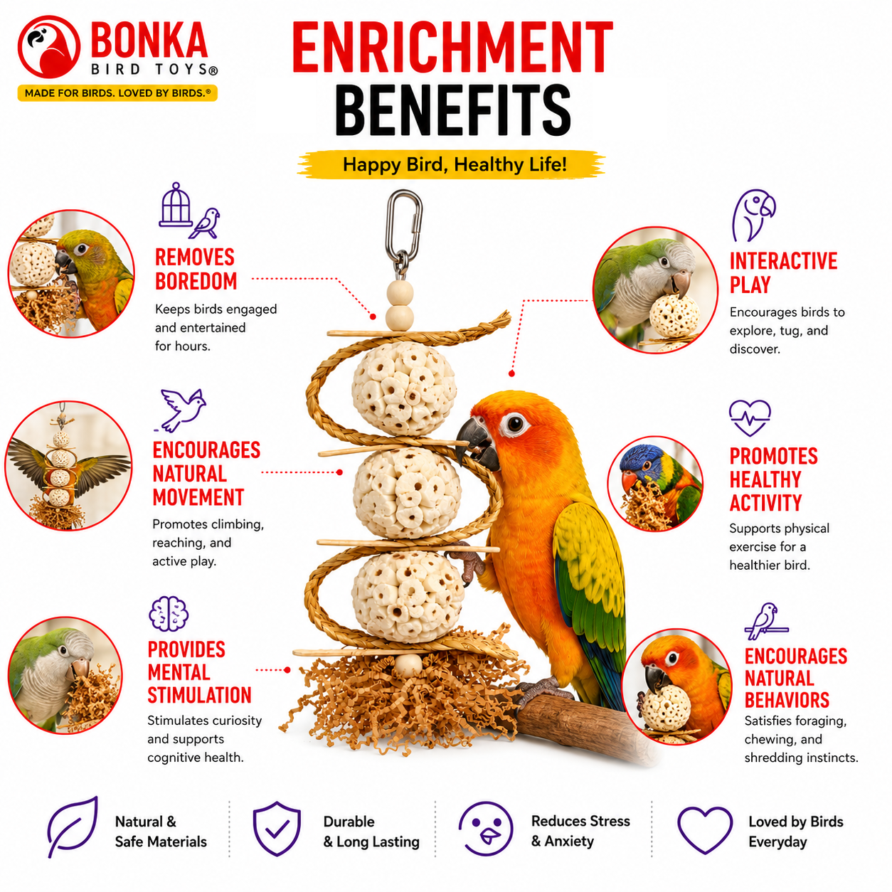 2552 Sola Chewballicious - Bonka Bird Toys