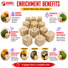 Small Sola Cubes - Bonka Bird Toys