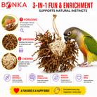 3866 Natural Foraging Star - Bonka Bird Toys