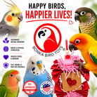 1004 Love Duck - Bonka Bird Toys