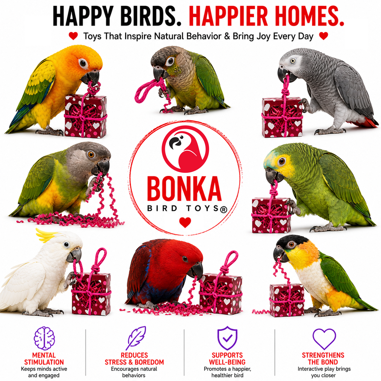 2764 Heart Box Forager - Bonka Bird Toys