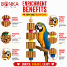 3750 Big Quad Blocks N Cube - Bonka Bird Toys