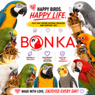 3867 Duo Money Pot - Bonka Bird Toys