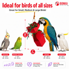 2760 Red Crinkle Gift Box - Bonka Bird Toys