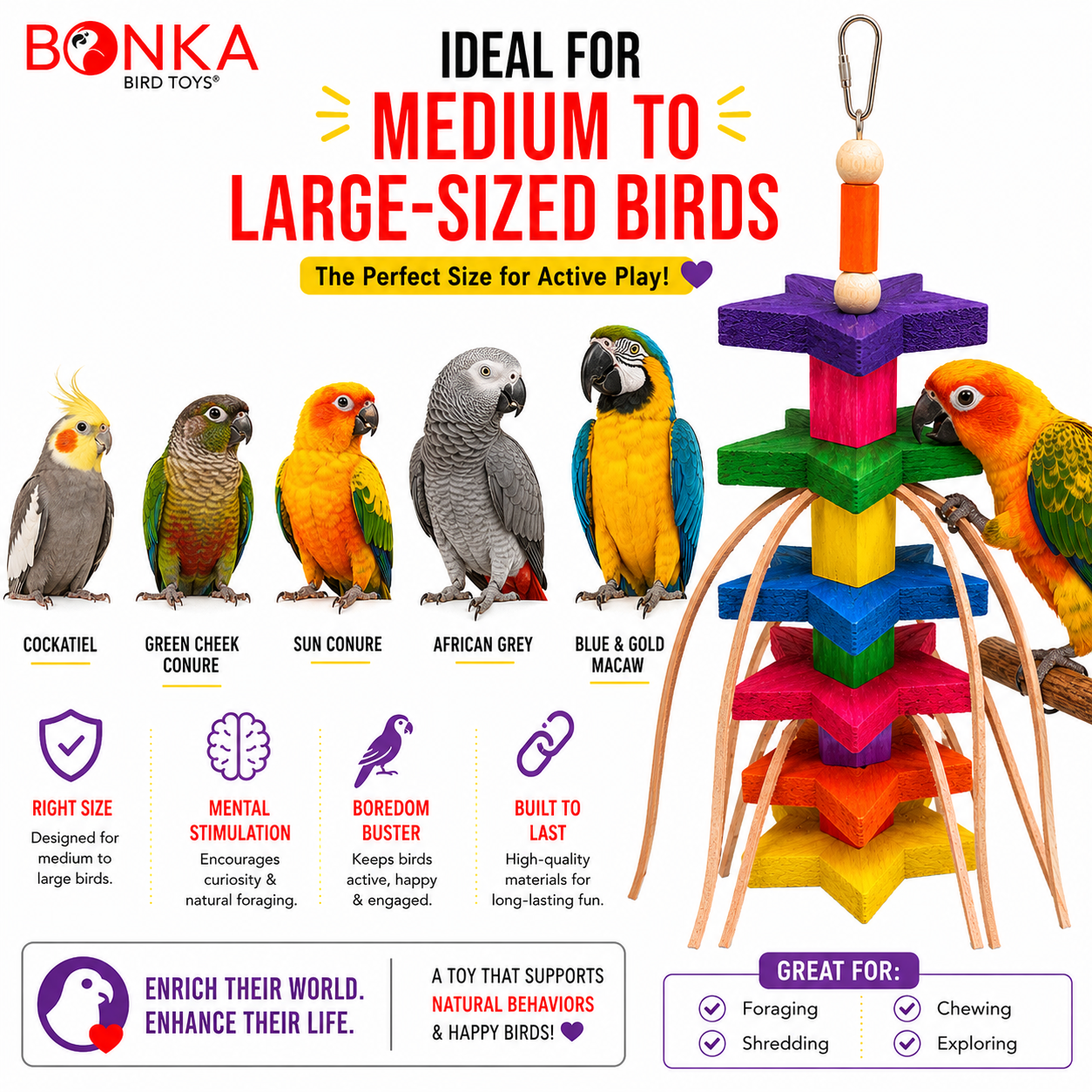 1510 Colored Colored Chunky Star - Bonka Bird Toys