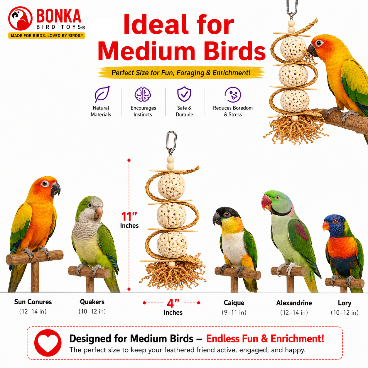 2552 Sola Chewballicious - Bonka Bird Toys