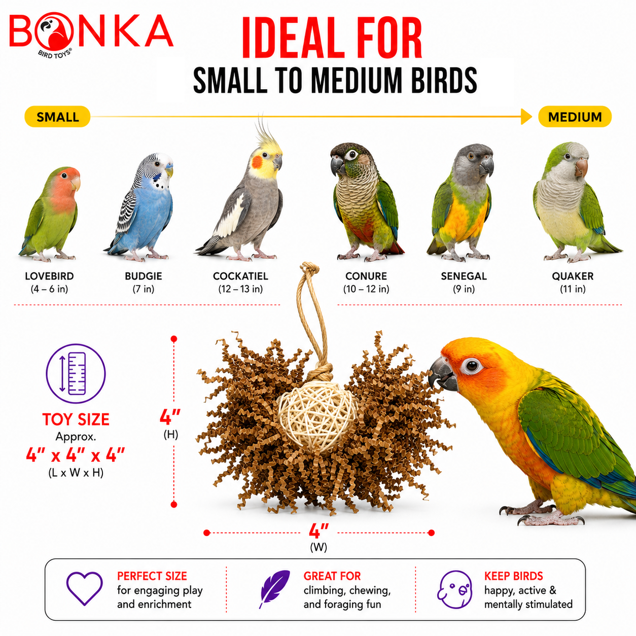 3866 Natural Foraging Star - Bonka Bird Toys
