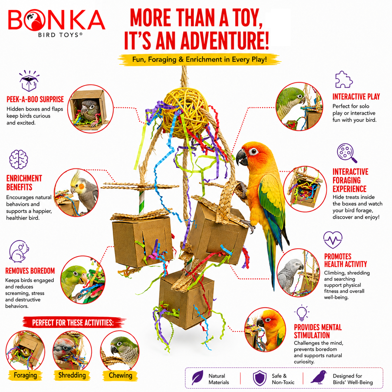 2635 Peekaboo Trio - Bonka Bird Toys