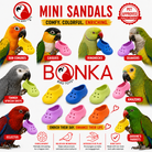 Colorful mini sandal bird toys for parrots, made with bird-safe materials, shown with Sun Conures, Caiques, Ringnecks, and more.