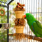 3867 Duo Money Pot - Bonka Bird Toys