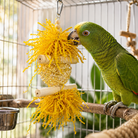 3885 Sola Heart Log - Bonka Bird Toys