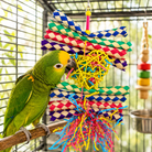 1730 Foraging Heart - Bonka Bird Toys